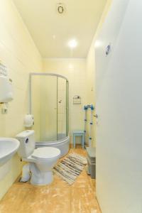 a bathroom with a toilet and a shower and a sink at Central Hostel in Riga