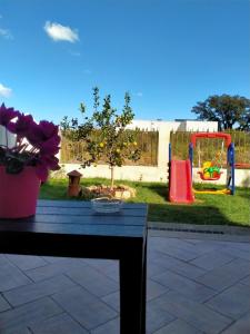 a view of a backyard with a playground at Affittacamere s' Orgiola in Girasole +23 photos