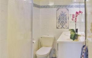 La salle de bains est pourvue de toilettes, d'un lavabo et d'une douche. dans l'établissement 1 Bedroom Stunning Home In Caderousse, à Caderousse