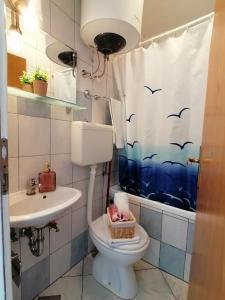 y baño con aseo, lavamanos y cortina de ducha. en Apartments Grebović, en Dubrovnik
