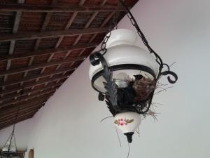 Fotografie z fotogalerie ubytování Embiente Guest House v Negombu