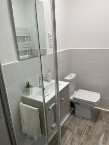 La salle de bains est pourvue de toilettes, d'un lavabo et d'un miroir. dans l'établissement Vidus Apartman Kaposvár, à Kaposvár