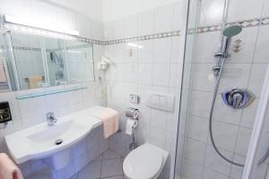 巴登的住宿－Pension Elfy，带淋浴、卫生间和盥洗盆的浴室