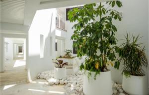 Vonkajšia záhrada v ubytovaní 2 Bedroom Cozy Apartment In Casares