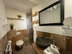 een badkamer met een wastafel, een toilet en een spiegel bij Ferienwohnungen Rothaarglück in Schmallenberg