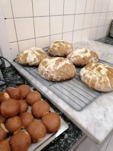 Matur á eða í nágrenni hótelsins