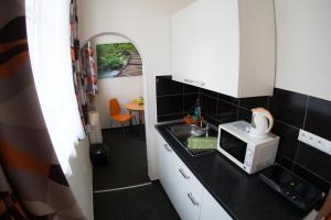 Kuchyňa alebo kuchynka v ubytovaní Apartments Radka