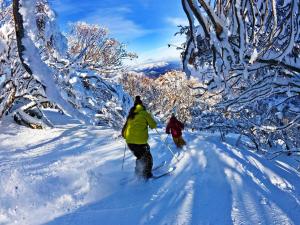 due persone che fanno sci di fondo attraverso una foresta innevata di Buller Central Hotel a Mount Buller Altre 2 foto