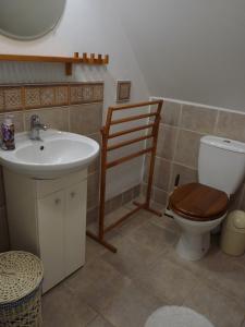 La salle de bains est pourvue de toilettes et d'un lavabo. dans l'établissement Raduńska Ostoja, à Dziemiany