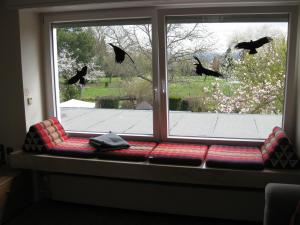 ein Fenster mit einer Couch, aus der Vögel fliegen in der Unterkunft Bella Colonia Vieren in Hürth