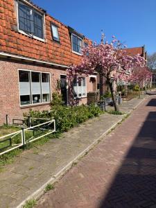 un árbol con flores rosas frente a un edificio de ladrillo en Beemster Experience, en Middenbeemster
