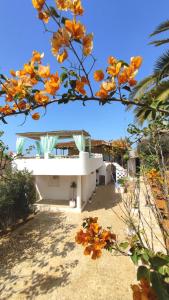 a view of a white building from a tree at Maison d'hotes Berbari in Asilah