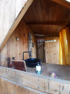 an inside view of a wooden cabin with a sink at LA HUTTE MASSAÏ in Villelaure
