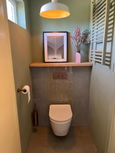 ein Badezimmer mit einem WC und ein TV auf einem Regal in der Unterkunft Sfeervol huisje, dichtbij bos en centrum in Apeldoorn + 5 Fotos