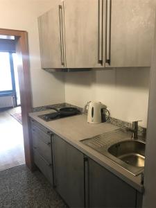 a kitchen with a sink and a toaster on the counter at Für Pendler und Monteure oder Ferienwohnung zum Erholen in Ober-Ramstadt