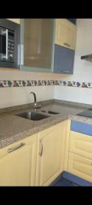 a kitchen with a sink and a microwave at Mirador de Valcayo in Riaño