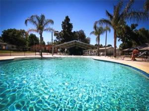 una gran piscina de agua azul con palmeras en BIG4 Riverside Swan Hill, en Swan Hill
