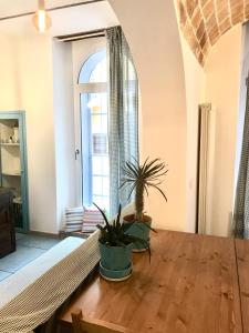 eine Topfpflanze auf einem Holztisch in einem Raum in der Unterkunft IL MELOGRANO La Casa nel Vicoletto in Lanciano