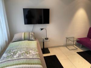 Schlafzimmer mit einem Bett und einem Flachbild-TV an der Wand in der Unterkunft City Apartments in Bad Säckingen