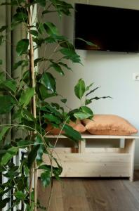 una pianta in una camera con divano e TV di Bed and Breakfast het Groentje a Staphorst
