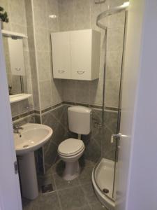 a bathroom with a toilet and a sink and a shower at Apartment Gloria in Peroj
