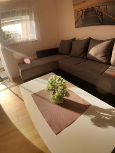 a living room with a couch and a plant on a table at Apartment Gloria in Peroj