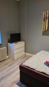 TV a/nebo společenská místnost v ubytování Flensburg City 4