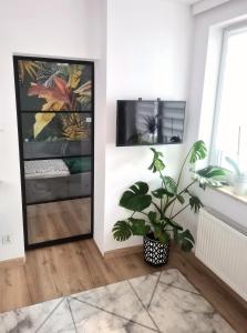 ein Wohnzimmer mit einem Spiegel und einer Pflanze in der Unterkunft Apartament Sosnowa in Puławy