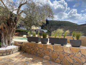 Gallery image of Panoramic lagoon view in Yenion +31 photos