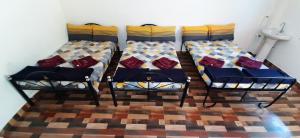 DANDELI CROCODILE EDGE HOME STAY客房内的一张或多张床位