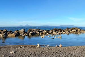 a group of birds sitting on the rocks in the water at Appartamento "la Perla" a 300m dal mare di Gliaca di Piraino in Piraino