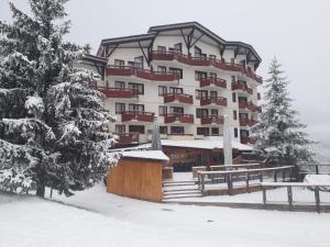 un grande hotel nella neve con alberi e panchine di Appartement aux pieds des pistes la tania courchevel a La Perrière
