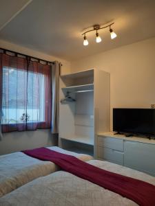 een slaapkamer met een bed en een flatscreen-tv bij Ferienwohnung Ostrau in Bad Schandau