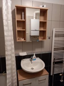 Vonios kambarys apgyvendinimo įstaigoje APARTMAN MARIO - ARENA ZAGREB