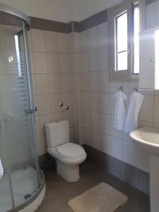 een badkamer met een toilet, een wastafel en een douche bij Апартамент в Керамоти in Keramotí