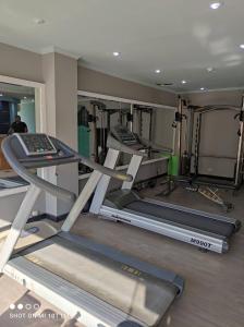 Fitness centrum a/nebo fitness zařízení v ubytování Seti Sharm Palm Beach Resort Families and couples only