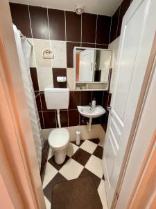 een kleine badkamer met toilet en wastafel bij Apartman studio Lusi in Subotica