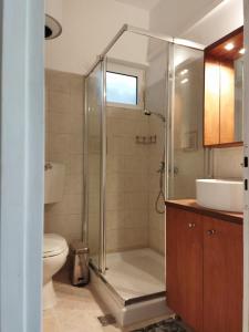 W łazience znajduje się prysznic, toaleta i umywalka. w obiekcie Garden house Karystos w mieście Karistos