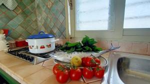 a kitchen counter with a fish and tomatoes on a stove at La Casa Dei Delfini in Lampedusa