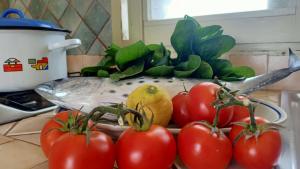 a bunch of tomatoes on a counter next to a pot at La Casa Dei Delfini in Lampedusa