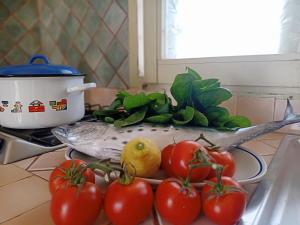 a bunch of tomatoes on a counter next to a pot at La Casa Dei Delfini in Lampedusa