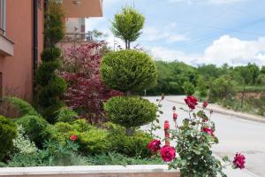 Zahrada ubytování City Blagoevgrad Family Hotel