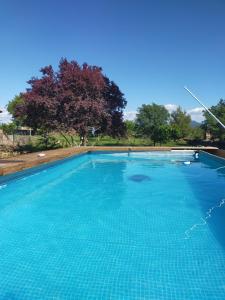 a large blue swimming pool with trees in the background at A Boira Rural in Osia