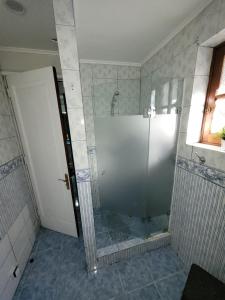 y baño con ducha y puerta de cristal. en Los Araucanos, en Santiago