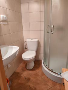 un bagno con wc, lavandino e doccia di Apartamenty Kołczewo a Kołczewo