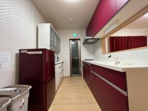 Kuchyň nebo kuchyňský kout v ubytování Guesthouse Kaede Annex
