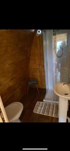 a bathroom with a toilet and a sink at Pinkys Pod at Rock Lodge in Alnwick