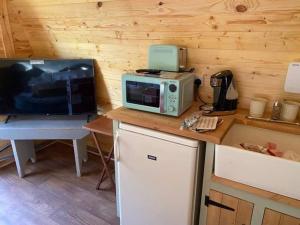 a kitchen with a microwave and a tv on a counter at Pinkys Pod at Rock Lodge in Alnwick