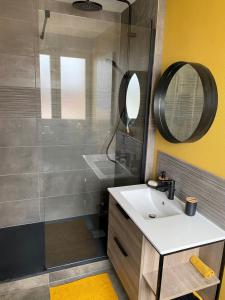 Bilik mandi di Magnifique appartement au coeur de Mulhouse