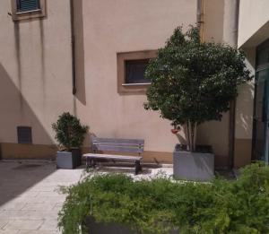 een parkbankje naast een gebouw met twee bomen bij mamarita in Sambuca di Sicilia